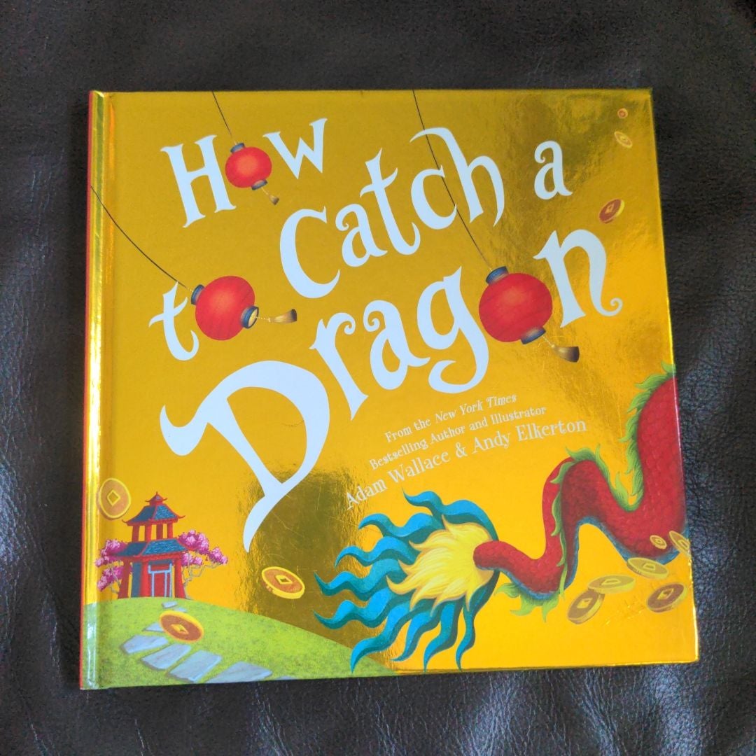 How to Catch a Dragon