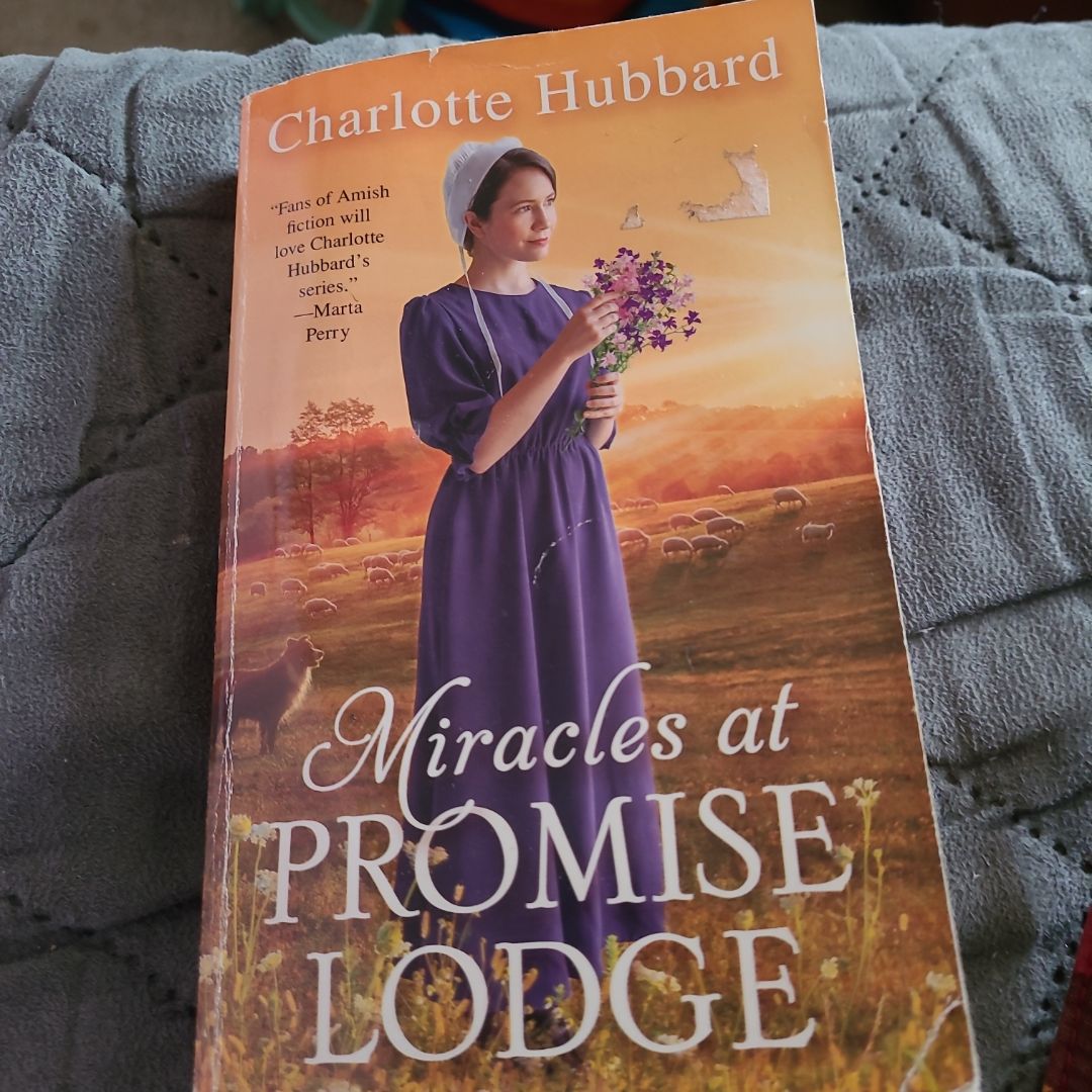 Miracles at Promise Lodge