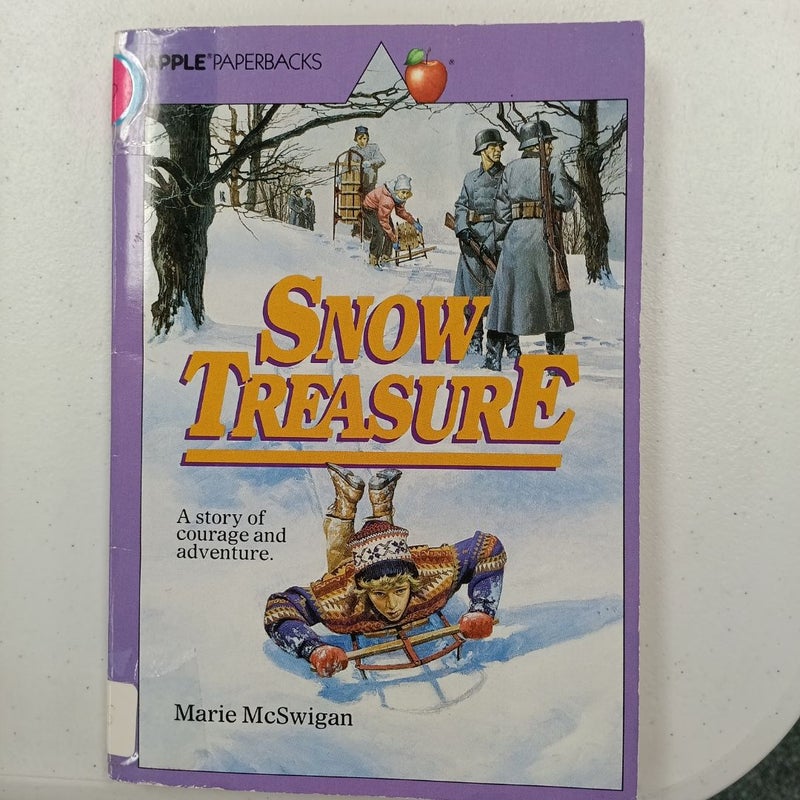 Snow Treasure