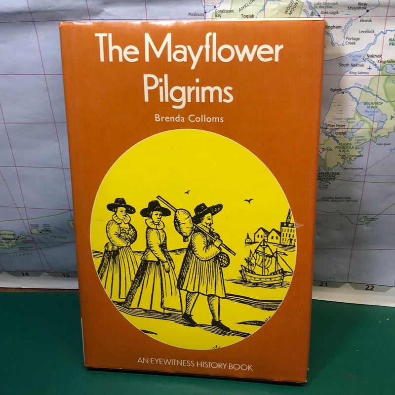 The mayflower pilgrims 