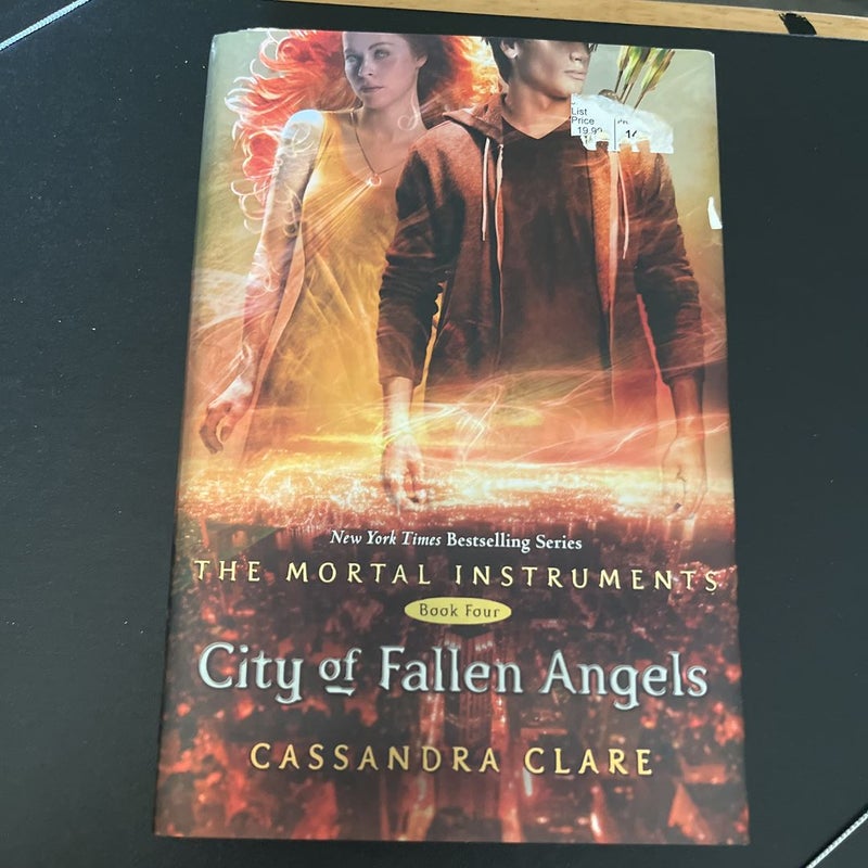 City of Fallen Angels