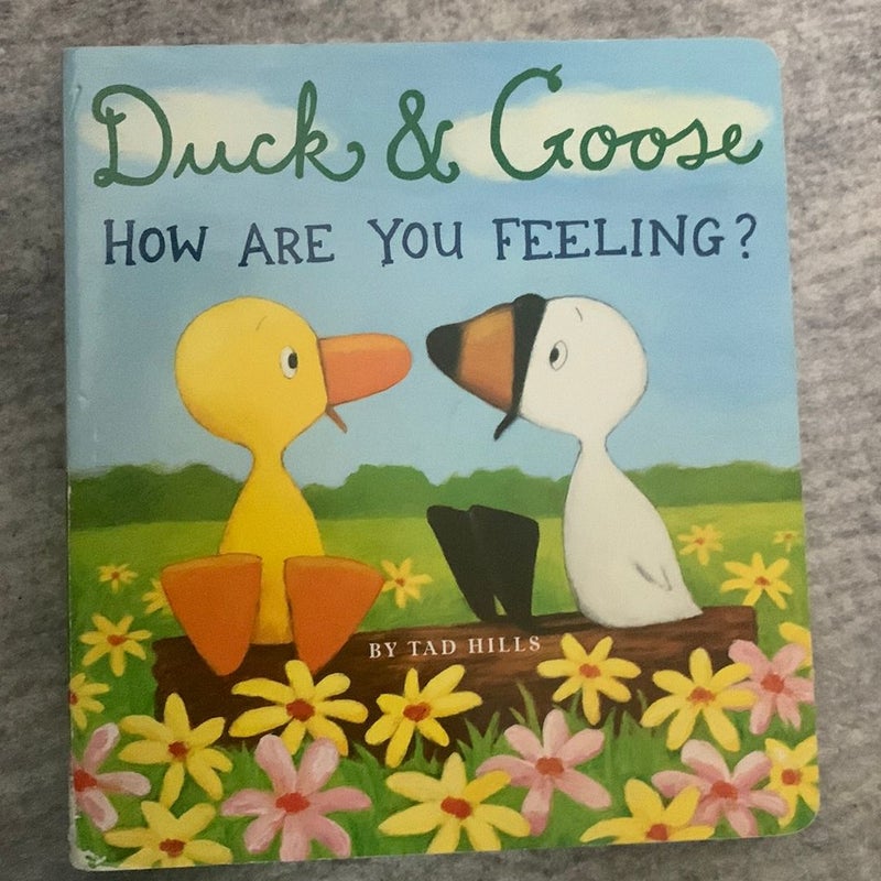 Duck and Goose, How Are You Feeling?