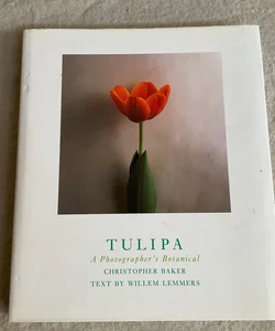 Tulipa