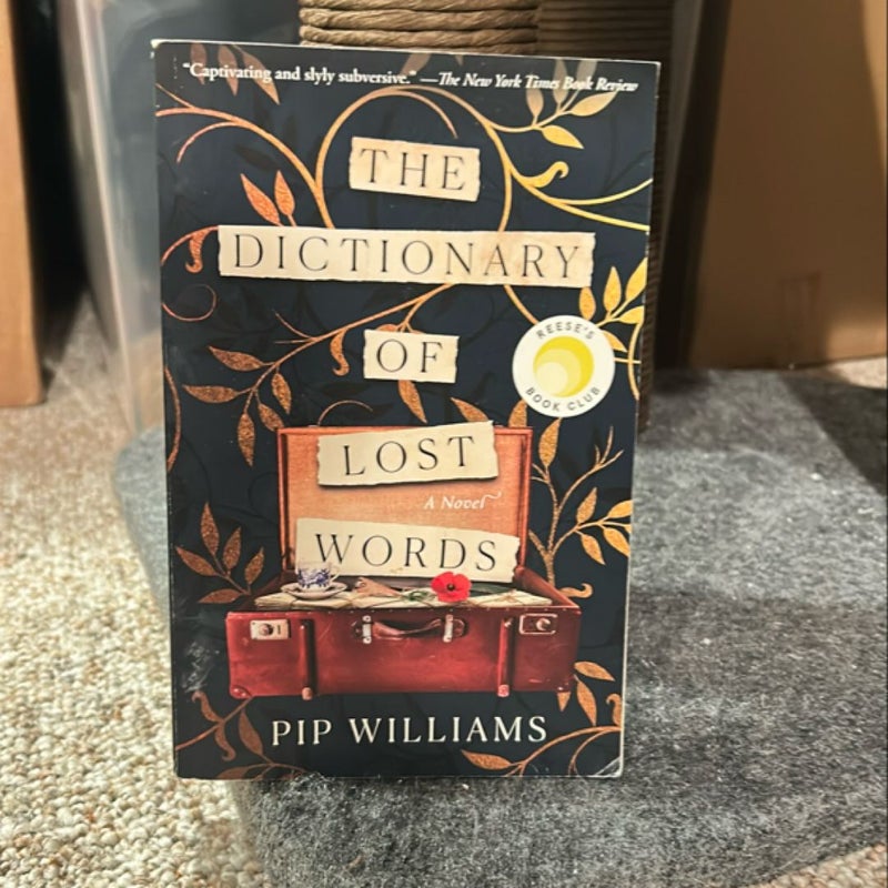 The Dictionary of Lost Words