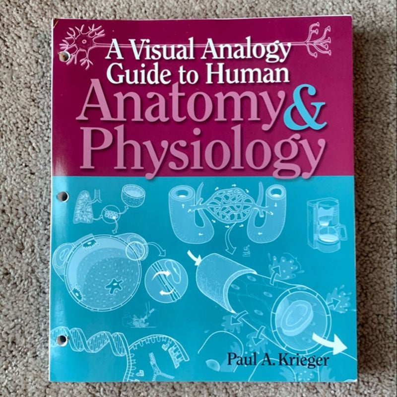 A Visual Analogy Guide to Anatomy and Physiology