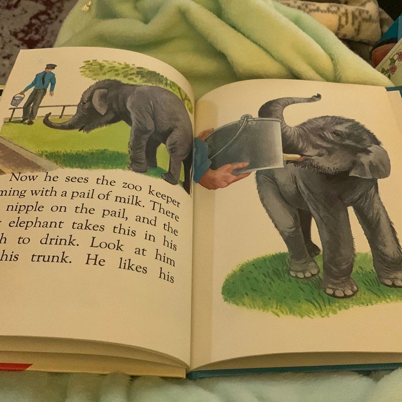 The Baby Animal Zoo