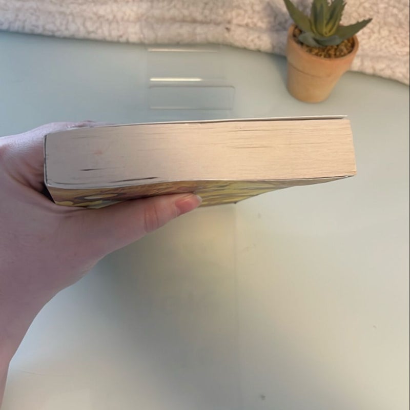 The Rules of Magic
