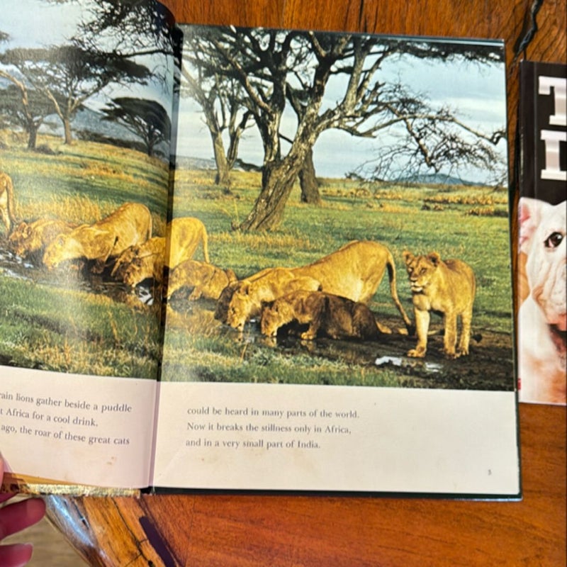 3 non-fiction kids books about animals