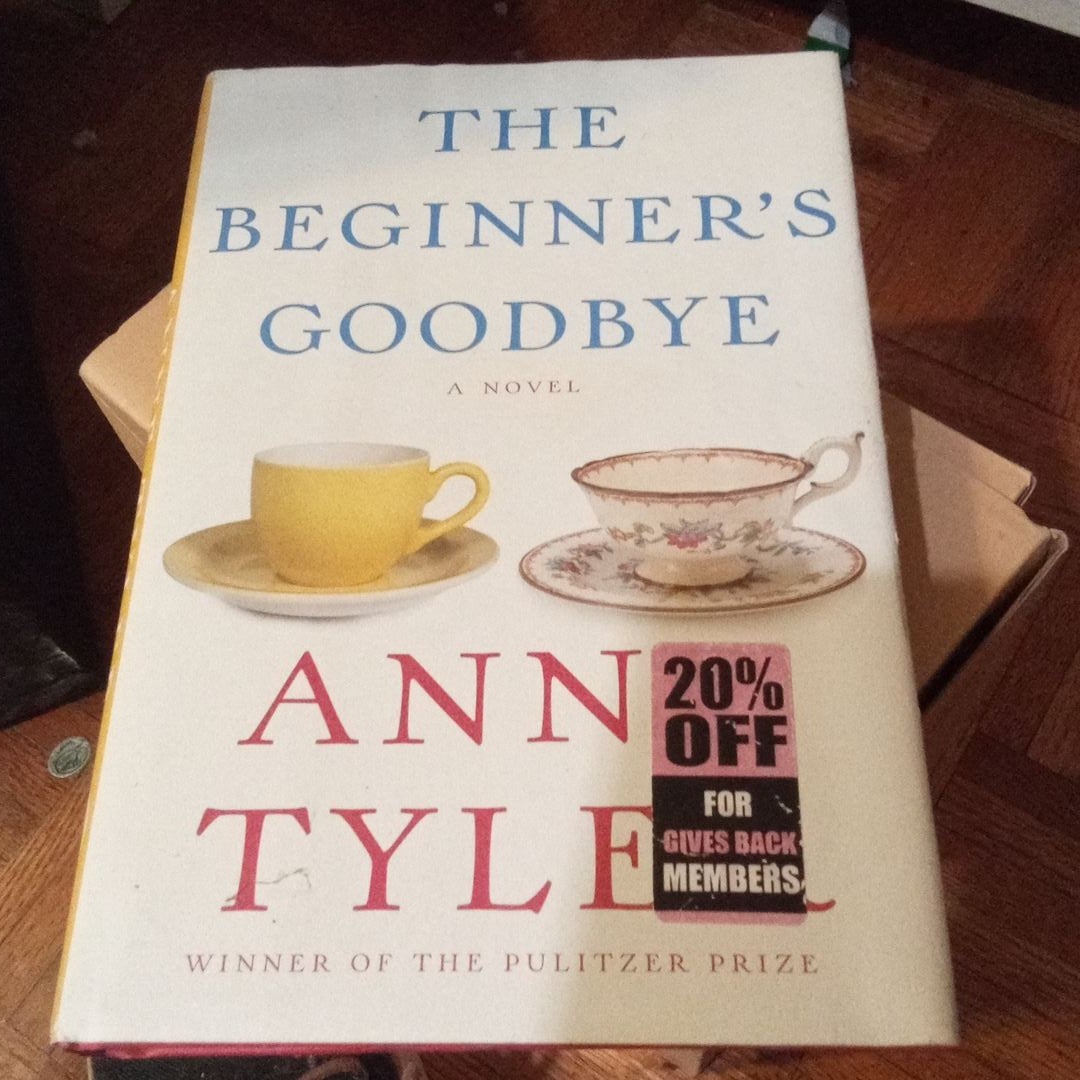 The Beginner's Goodbye