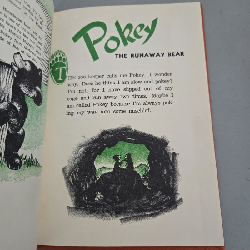Pokey the Runaway Bear