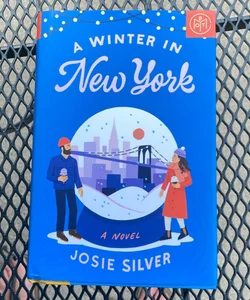 A Winter in New York