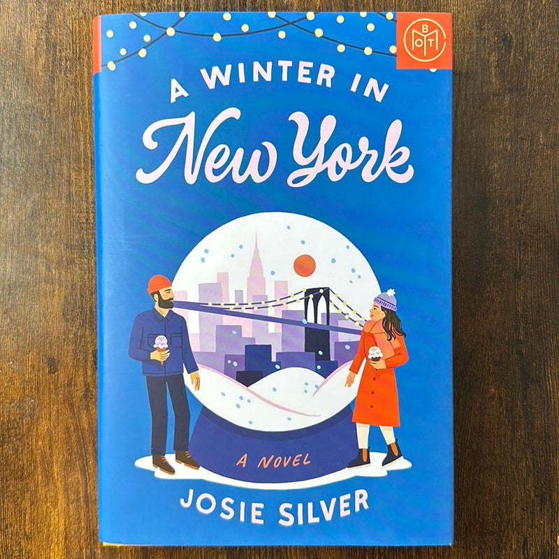A Winter in New York