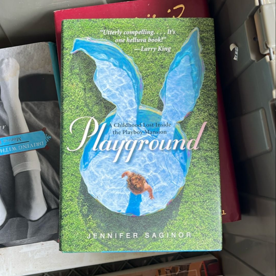 Playground by jennifer saginor