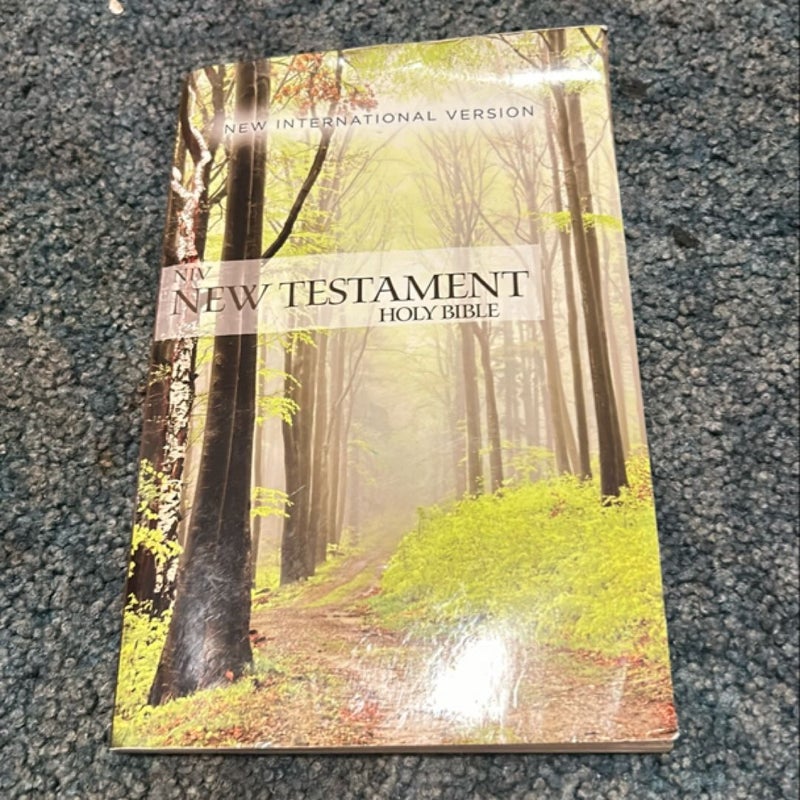 NIV Outreach New Testament [Green]