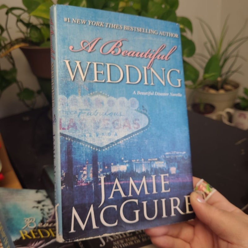 Jaime McGuire bundle