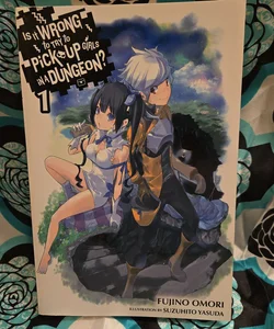 Is It Wrong to Try to Pick up Girls in a Dungeon?, Vol. 1 (light Novel)