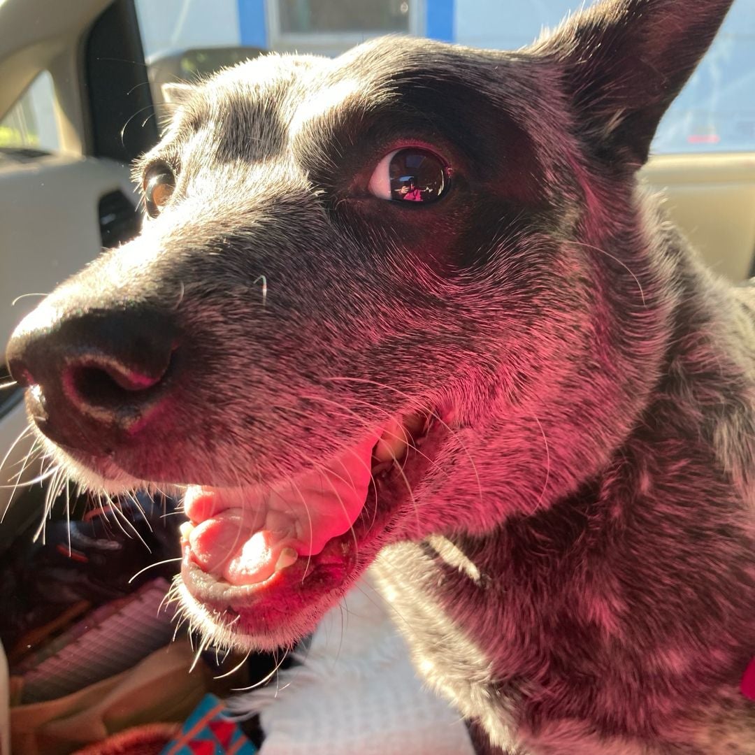 betsy sue