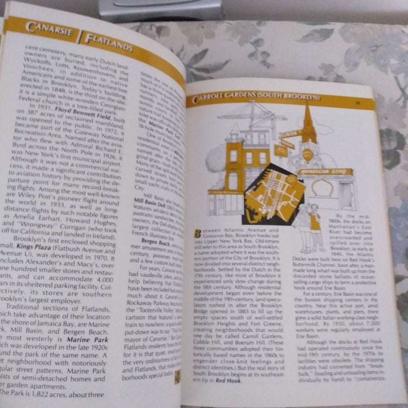 Brooklyn Neighborhood Book