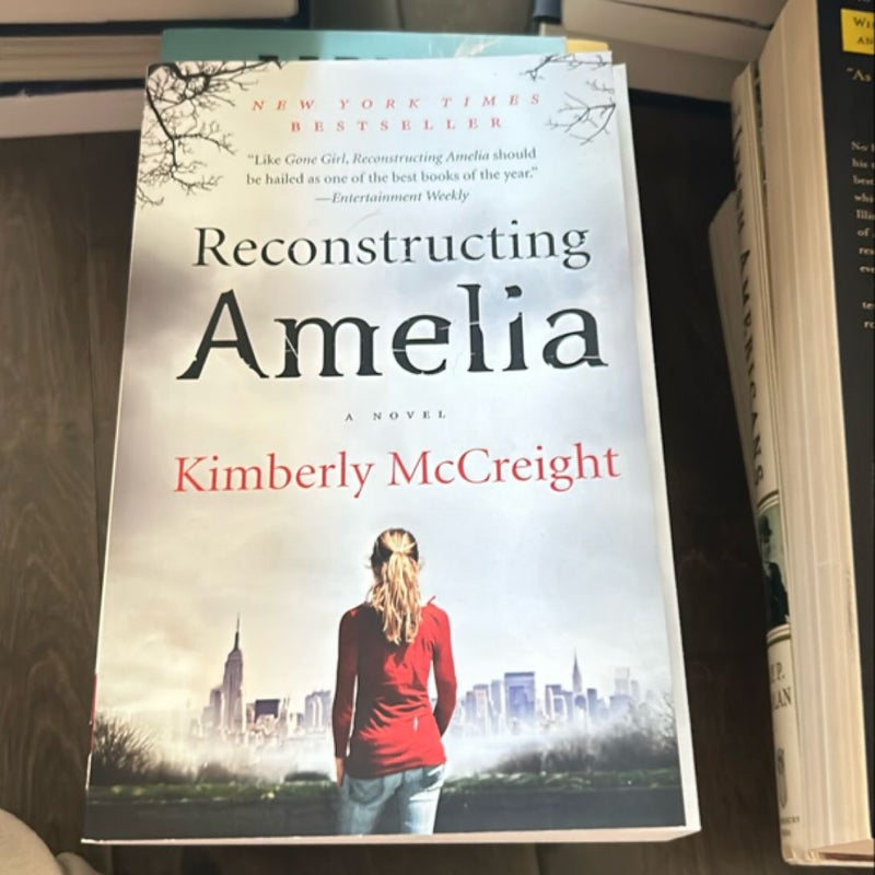 Reconstructing Amelia