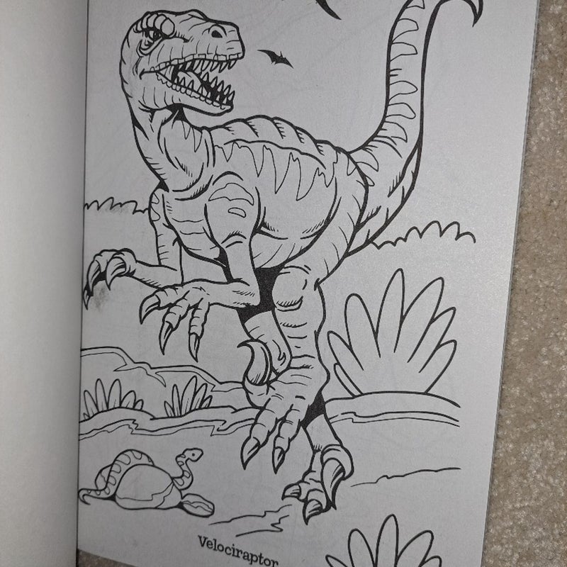 2 Dinosaurs Coloring Books