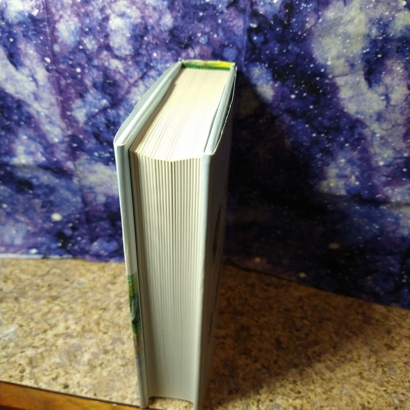 Big Little Book of Irish Wit and Wisdom