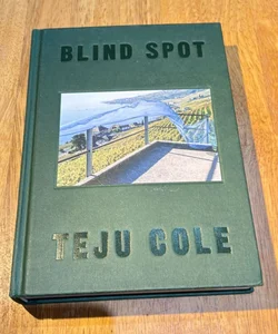 1st Ed 1st Print * Blind Spot