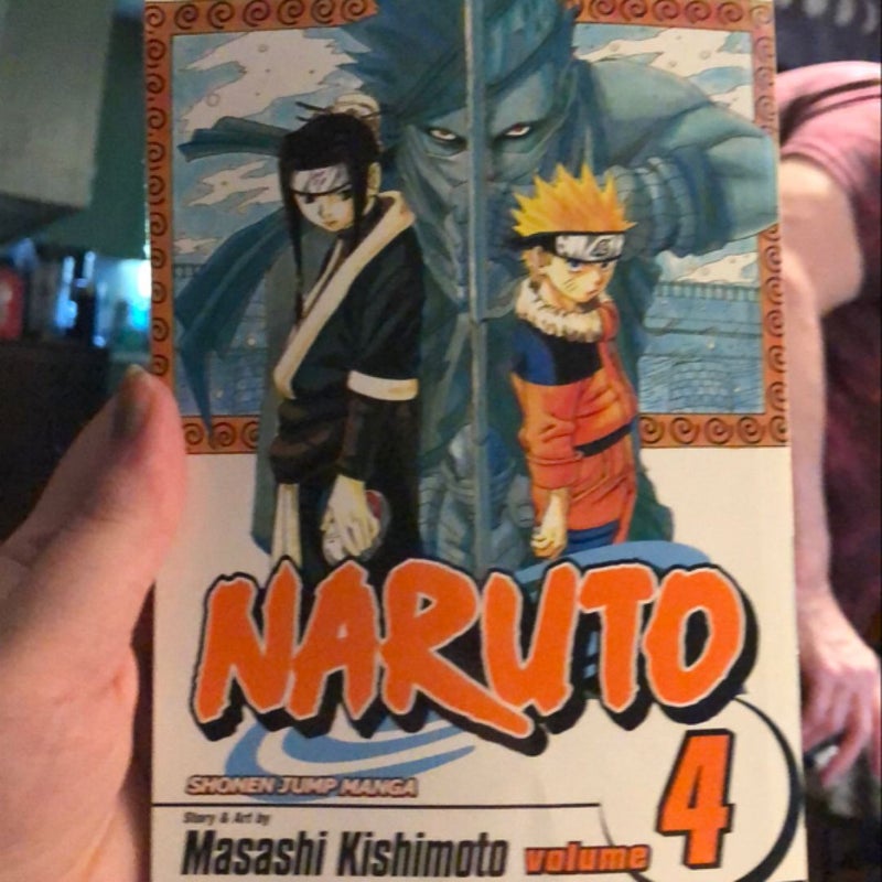 Naruto, Vol. 4