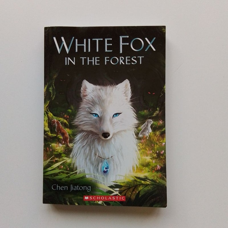 White Fox in the Forest