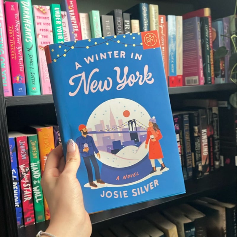 A Winter in New York