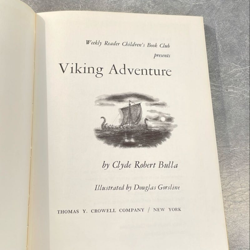 Viking Adventure