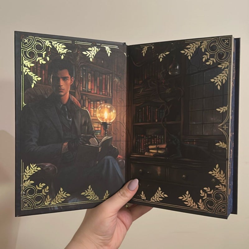 The Wren in the Holly Library *FAIRYLOOT*