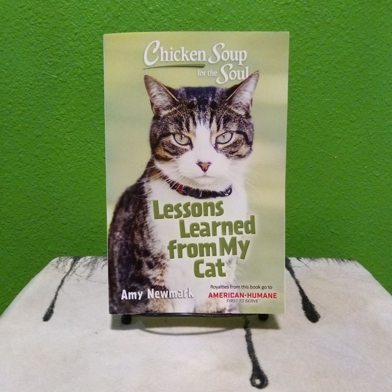 Lessons Learned from My Cat