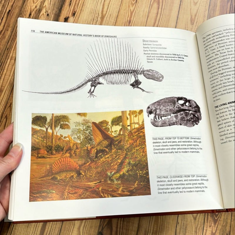 The American Museum of Natural History's Book of Dinosaurs and Other Ancient Creatures