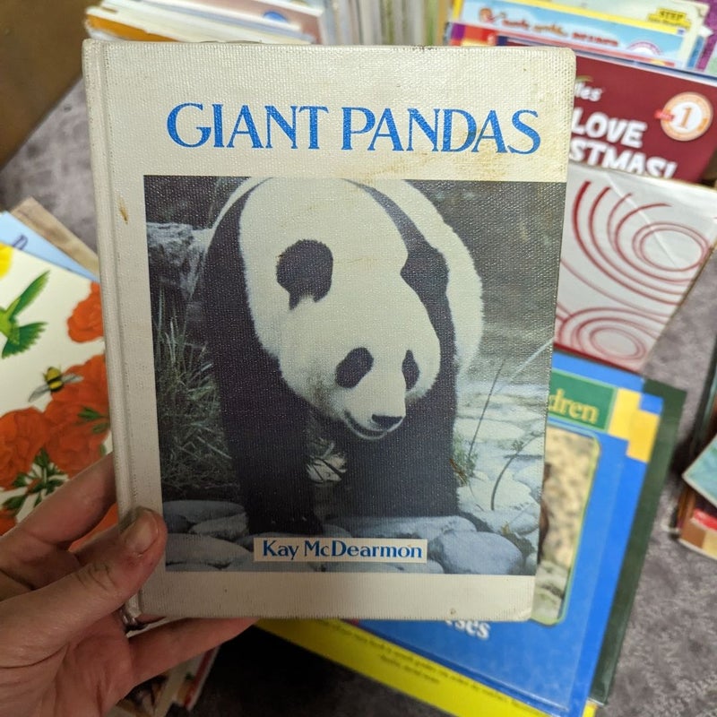 Giant Pandas