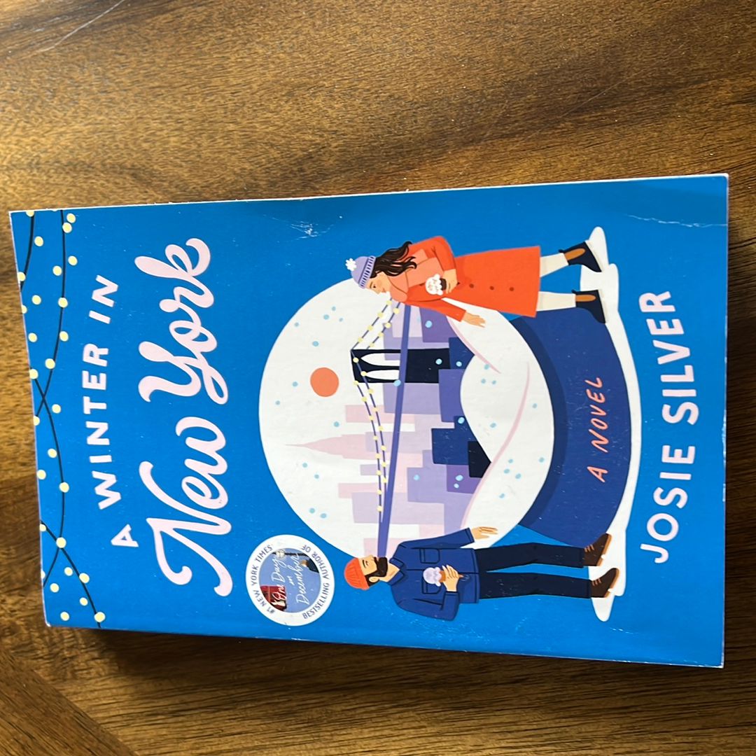 A Winter in New York