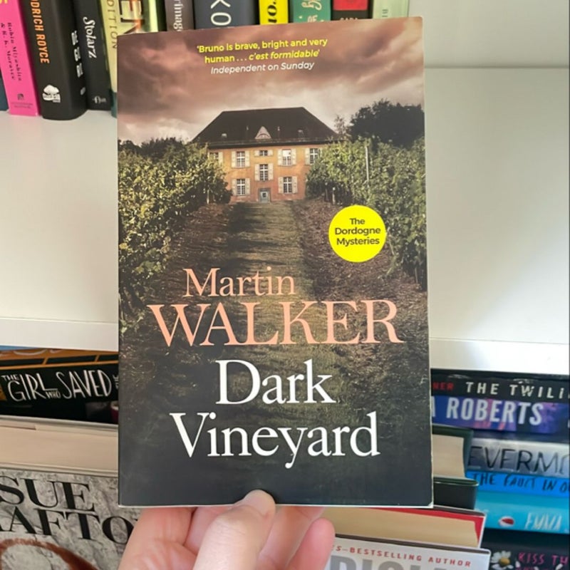 Dark Vineyard