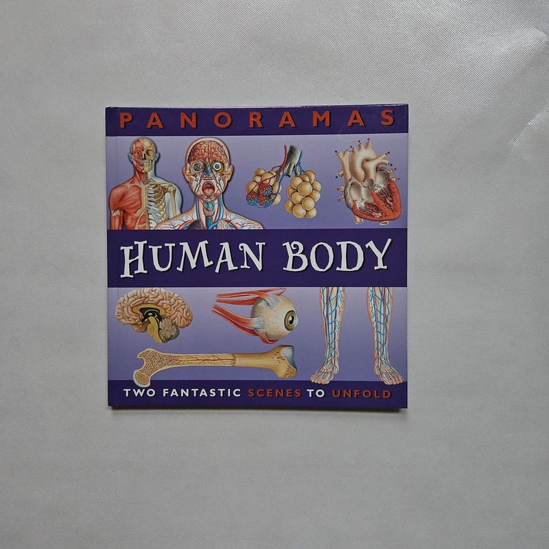 Panoramas Human Body