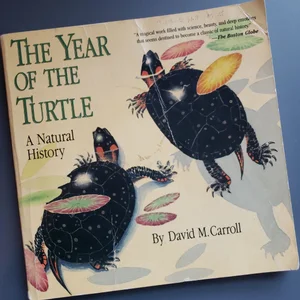 Year of the Turtle