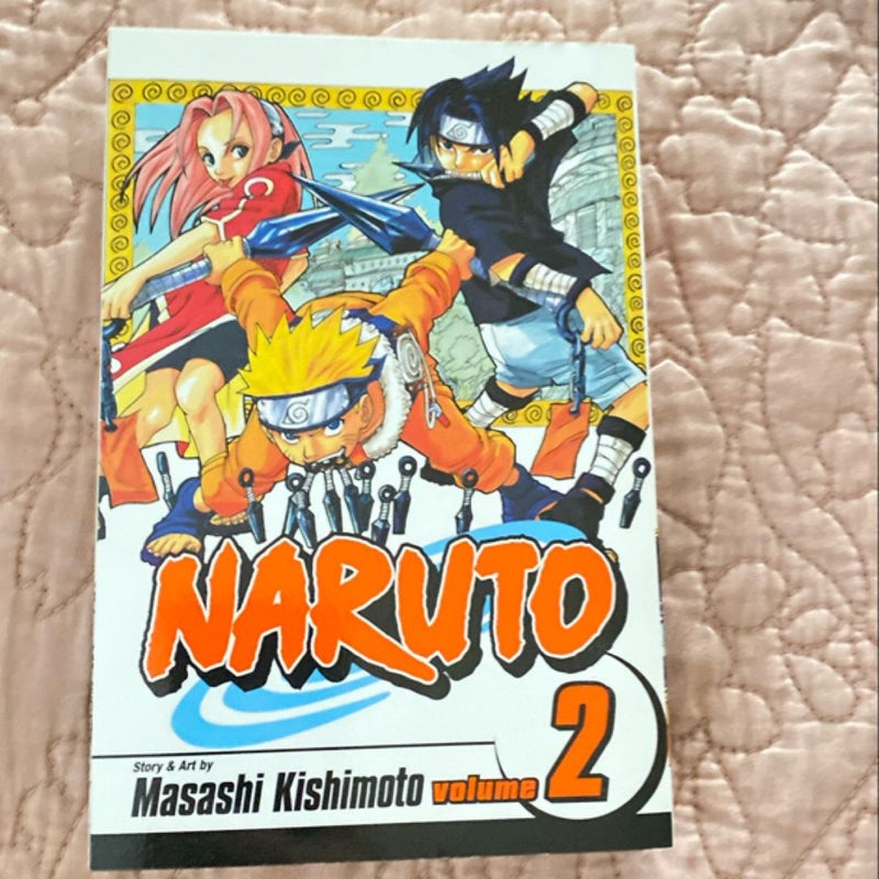 Naruto, Vol. 2