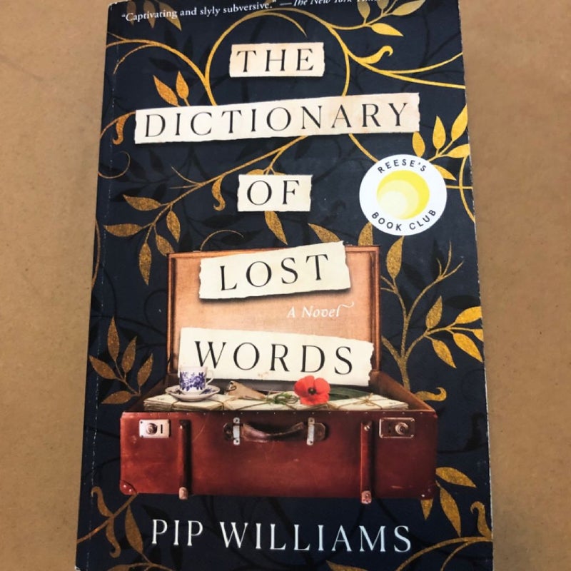 The Dictionary of Lost Words