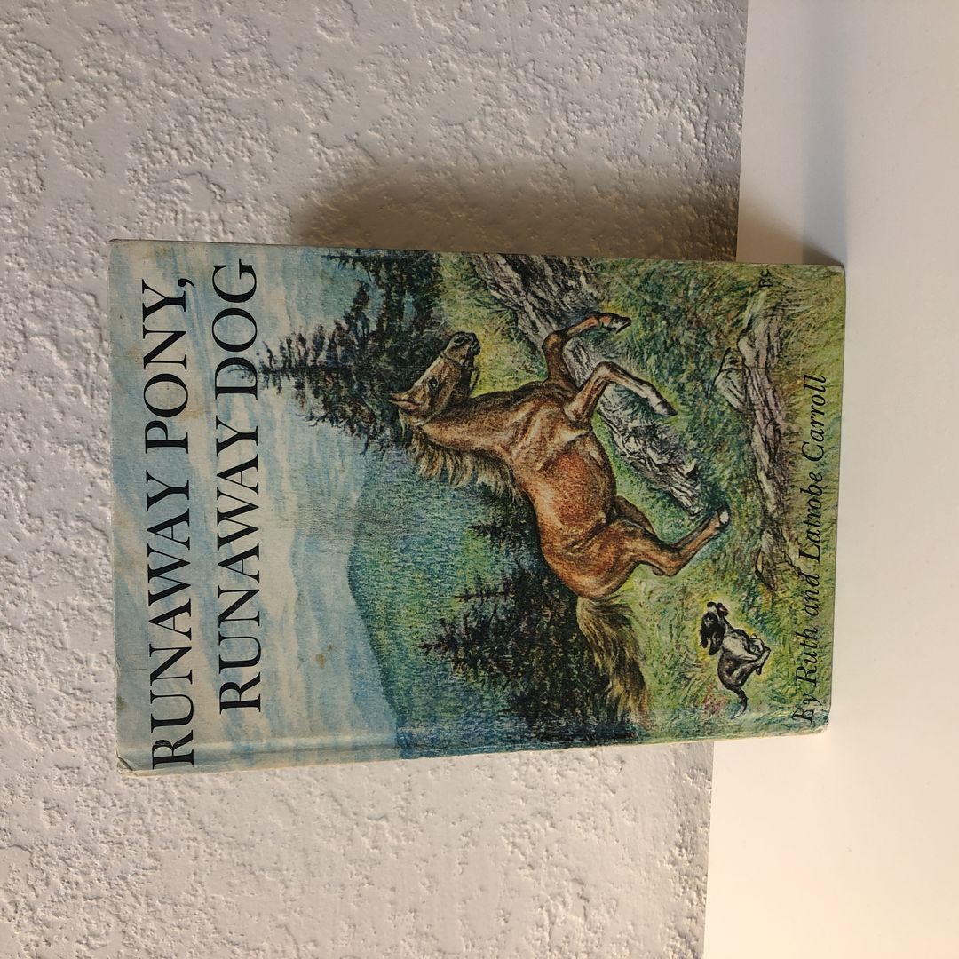 Runaway Pony, Runaway Dog