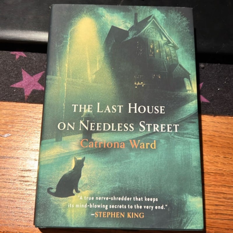 The Last House on Needless Street