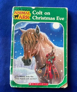 Colt on Christmas Eve