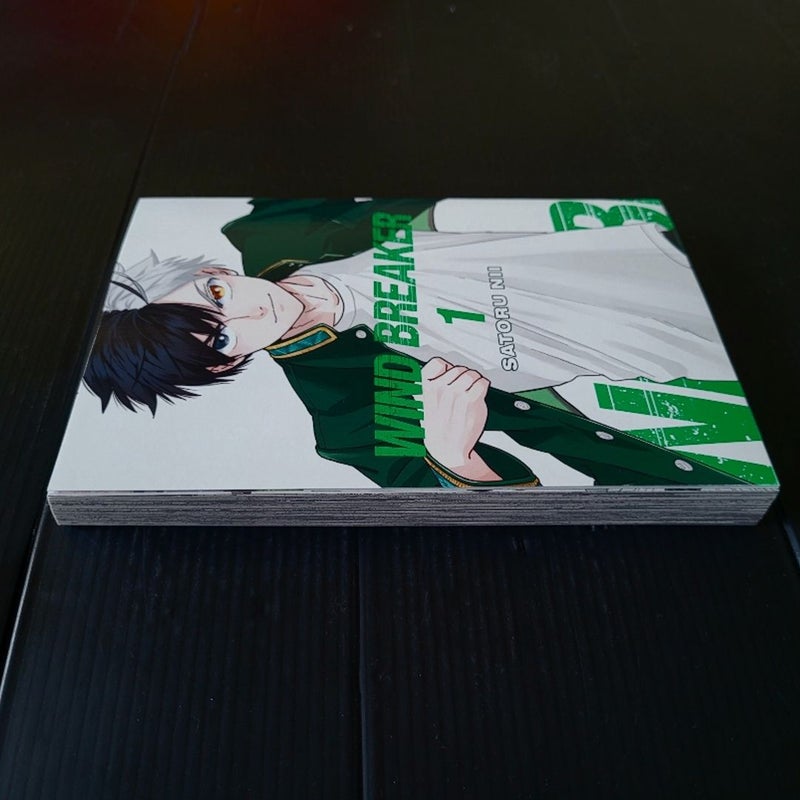 Wind Breaker Vol. 1