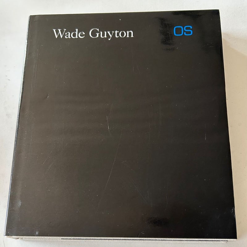 Wade Guyton OS