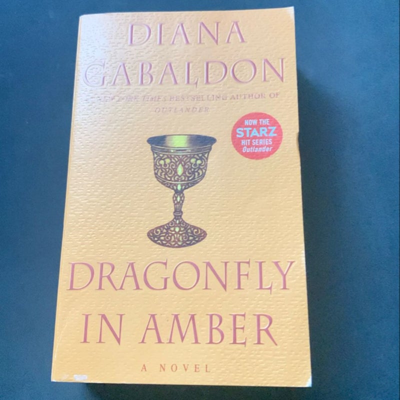 Dragonfly in Amber