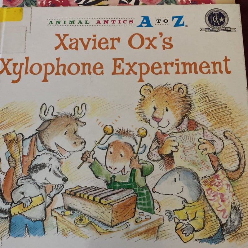 Xavier Ox's Xylophone Experiment