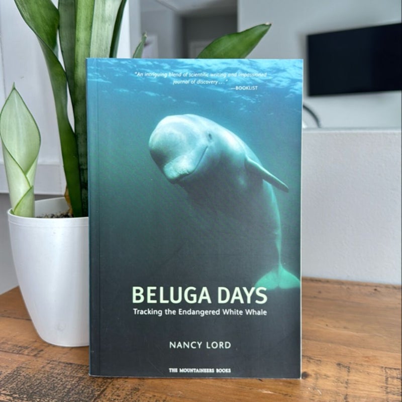 Beluga Days