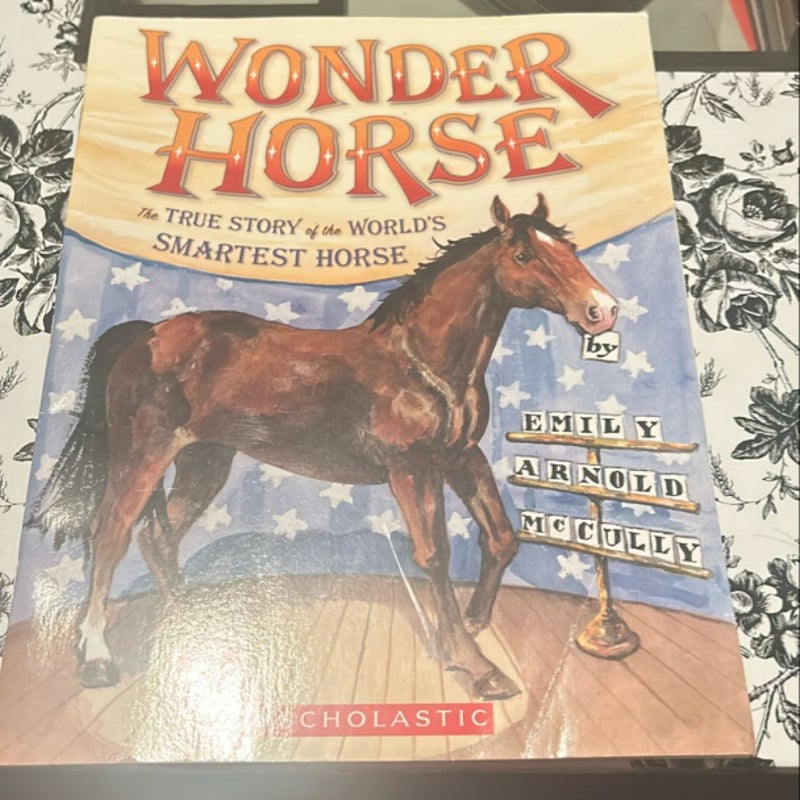 Wonder Horse