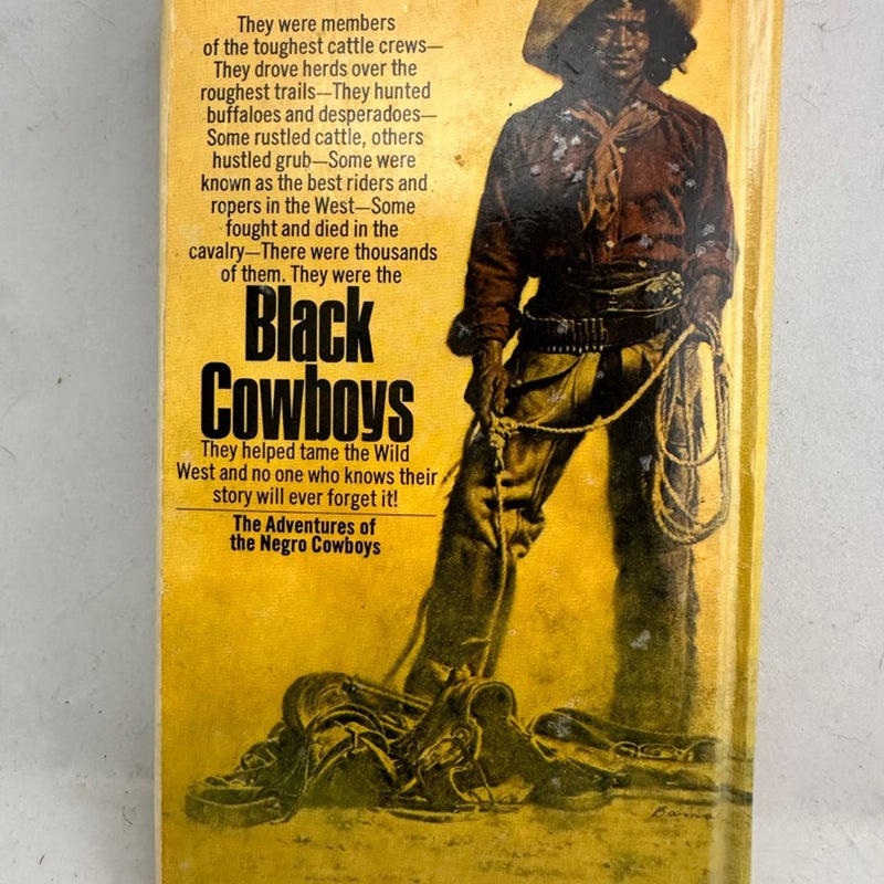 The Adventures Of The Negro Cowboys